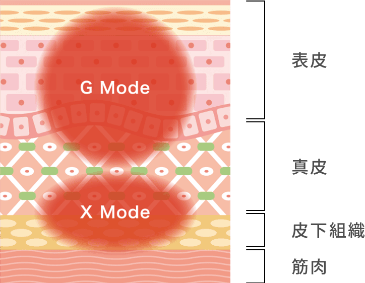 スタートクリニック麻布十番 オリジオ X 各Modeのターゲット層